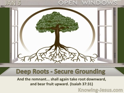 Deep Roots - Secure Grounding